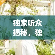 独家听众揭秘，独特歌曲背后的故事