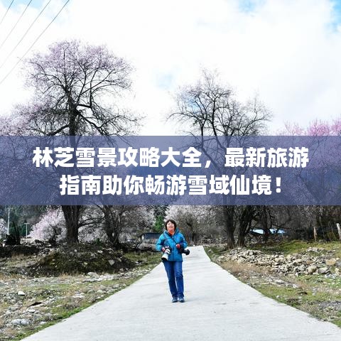 林芝雪景攻略大全,最新旅游指南助你畅游雪域仙境!