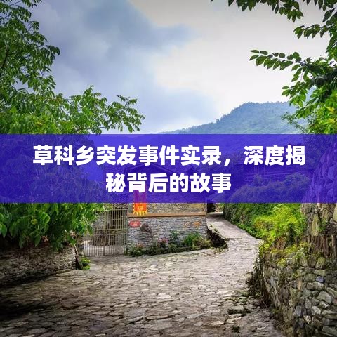 草科乡突发事件实录，深度揭秘背后的故事