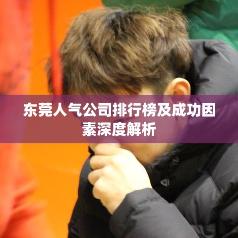东莞人气公司排行榜及成功因素深度解析