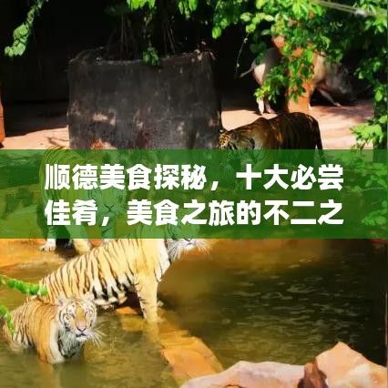 顺德美食探秘，十大必尝佳肴，美食之旅的不二之选