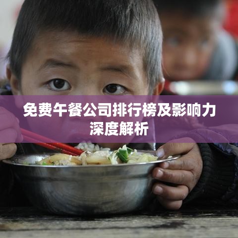 免费午餐公司排行榜及影响力深度解析