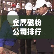 金属磁粉公司排行榜及行业影响力深度解析
