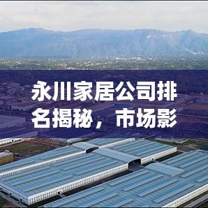 永川家居公司排名揭秘，市场影响力深度剖析