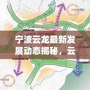 宁波云龙最新发展动态揭秘,云龙新闻头条全掌握