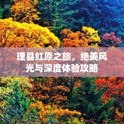 理县红原之旅，绝美风光与深度体验攻略