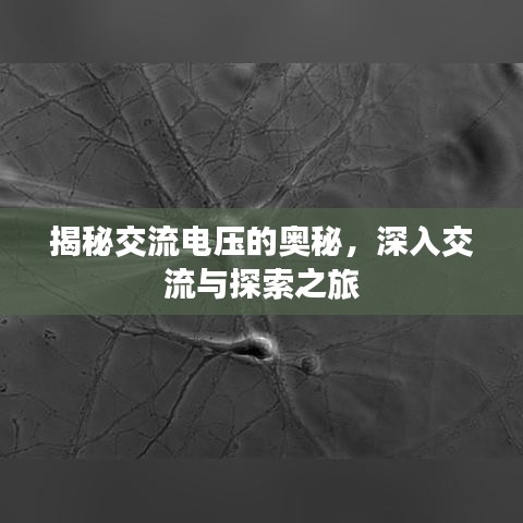 揭秘交流电压的奥秘,深入交流与探索之旅