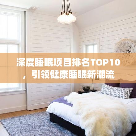 Processing官方下载及王者棋牌插件激活码详解，Processing进阶款v8.595软件评测介绍