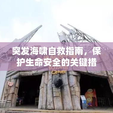 突发海啸自救指南，保护生命安全的关键措施！