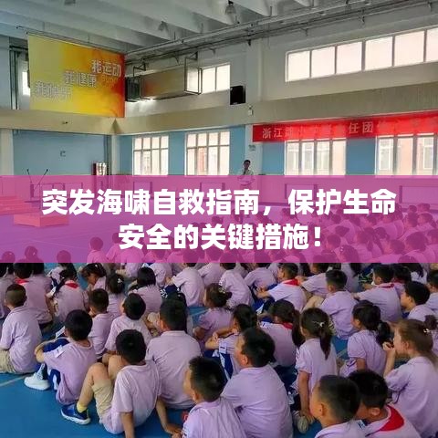 突发海啸自救指南,保护生命安全的关键措施!