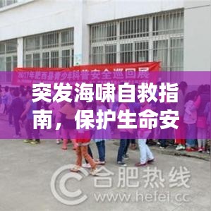 突发海啸自救指南,保护生命安全的关键措施!