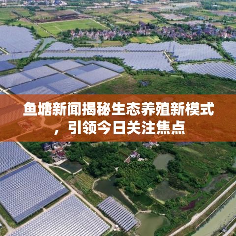 鱼塘新闻揭秘生态养殖新模式，引领今日关注焦点