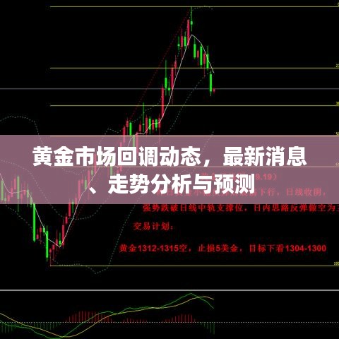 黄金市场回调动态，最新消息、走势分析与预测
