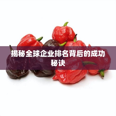 揭秘全球企业排名背后的成功秘诀