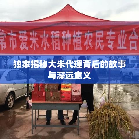 独家揭秘大米代理背后的故事与深远意义