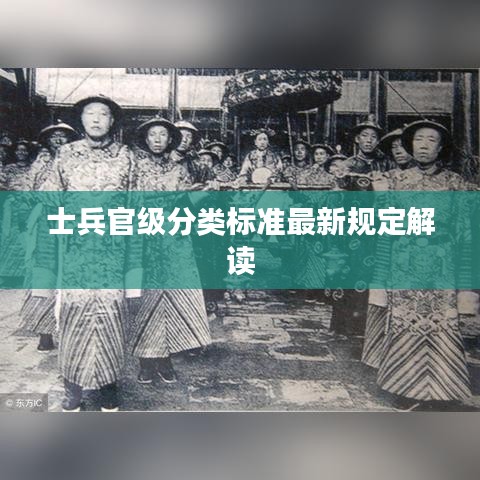 花枝招展 第5页