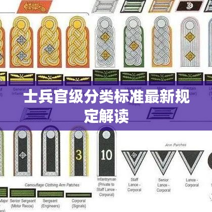 士兵官级分类标准最新规定解读