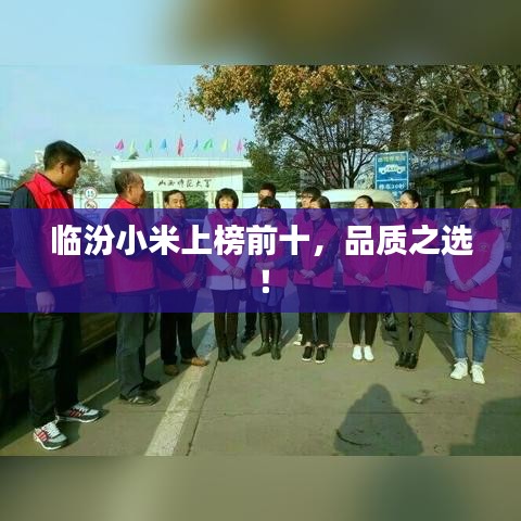 临汾小米上榜前十,品质之选!