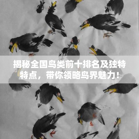 揭秘全国鸟类前十排名及独特特点，带你领略鸟界魅力！