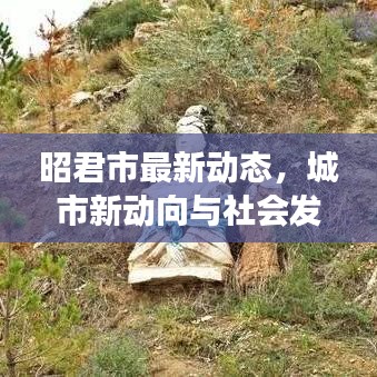 昭君市最新动态，城市新动向与社会发展瞩目亮点