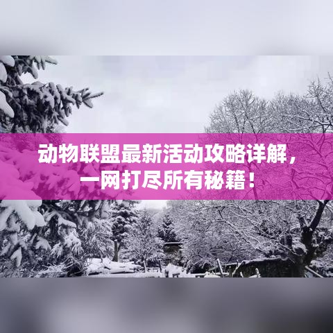 动物联盟最新活动攻略详解，一网打尽所有秘籍！