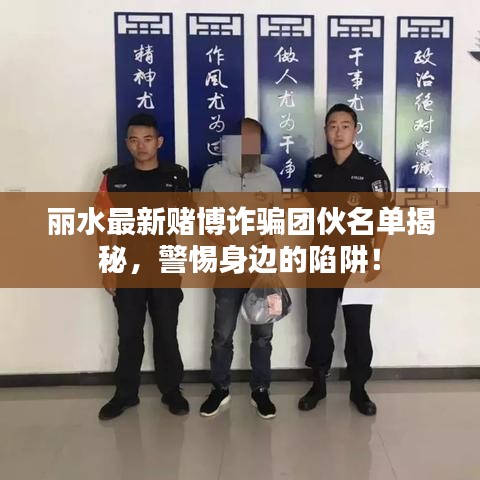 丽水最新赌博诈骗团伙名单揭秘，警惕身边的陷阱！