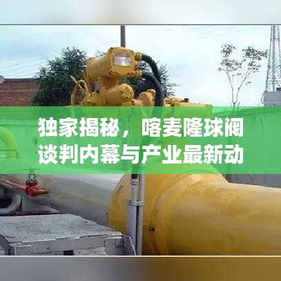 独家揭秘，喀麦隆球阀谈判内幕与产业最新动态