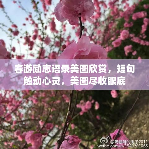 春游励志语录美图欣赏，短句触动心灵，美图尽收眼底