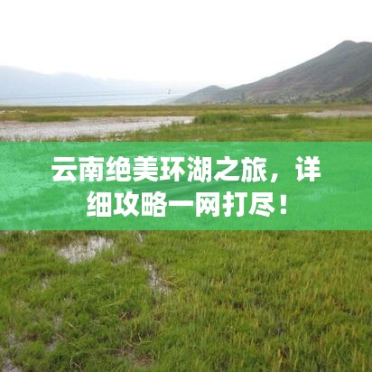 鸟啼花怨 第5页