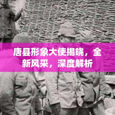 唐县形象大使揭晓，全新风采，深度解析