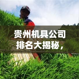 贵州机具公司排名大揭秘，哪家公司独占鳌头？