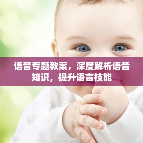 语音专题教案,深度解析语音知识,提升语言技能