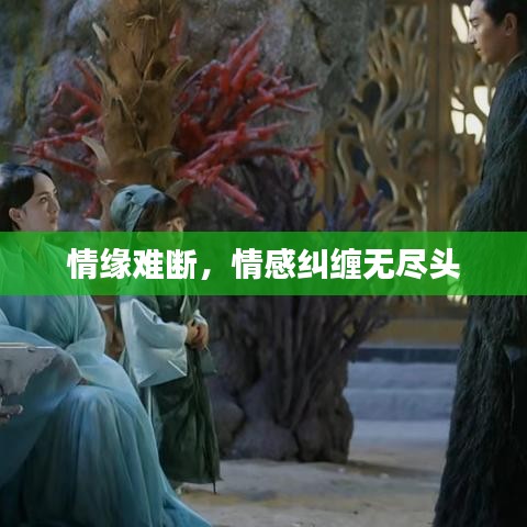 情缘难断,情感纠缠无尽头