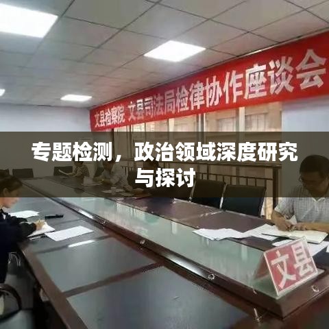 专题检测，政治领域深度研究与探讨