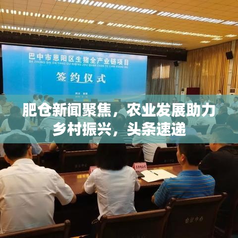 肥仓新闻聚焦,农业发展助力乡村振兴,头条速递