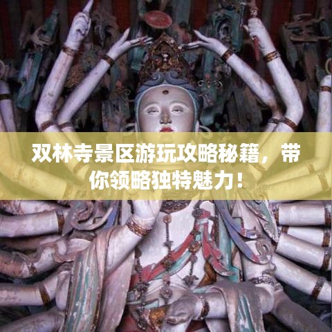 双林寺景区游玩攻略秘籍，带你领略独特魅力！