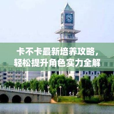 卡不卡最新培养攻略,轻松提升角色实力全解析