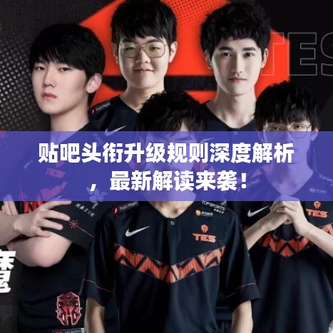 贴吧头衔升级规则深度解析，最新解读来袭！