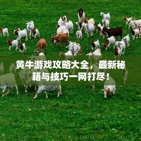 黄牛游戏攻略大全，最新秘籍与技巧一网打尽！