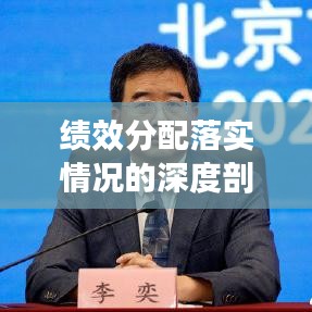 绩效分配落实情况的深度剖析与探讨