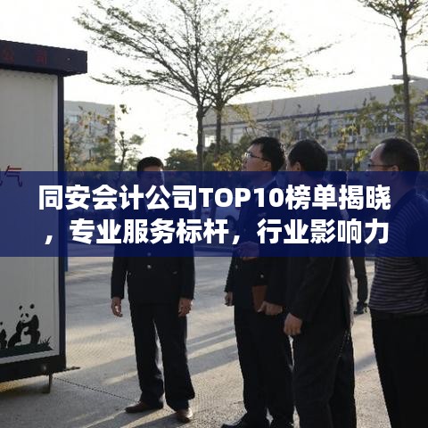 同安会计公司TOP10榜单揭晓，专业服务标杆，行业影响力不容小觑
