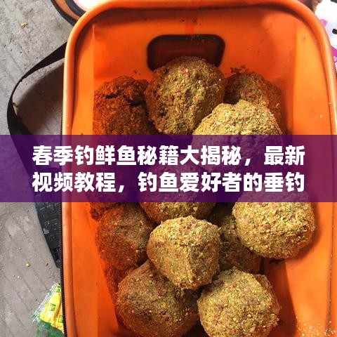 春季钓鲜鱼秘籍大揭秘，最新视频教程，钓鱼爱好者的垂钓宝典