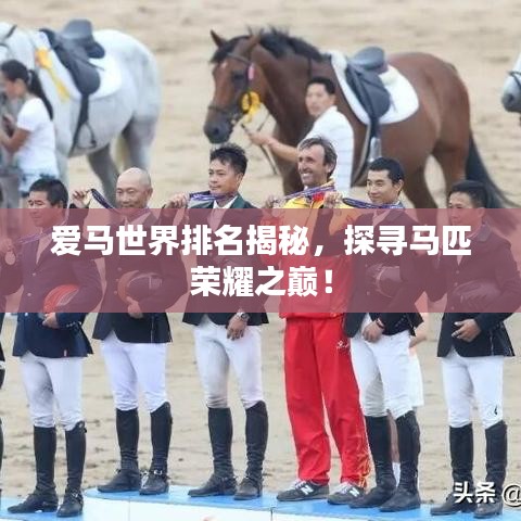 爱马世界排名揭秘，探寻马匹荣耀之巅！