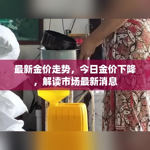 酷我官方下载跟明日之后怎么激活码,实效解读性策略_顶级版_v6.488