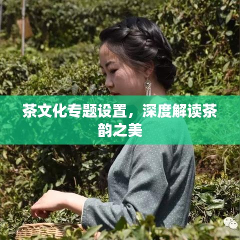 贵阴贱璧 第5页