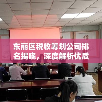 东丽区税收筹划公司排名揭晓，深度解析优质服务的企业！