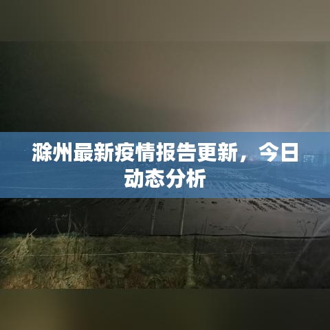 滁州最新疫情报告更新,今日动态分析