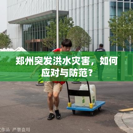 郑州突发洪水灾害，如何应对与防范？