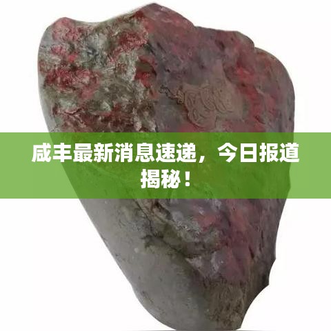 咸丰最新消息速递，今日报道揭秘！