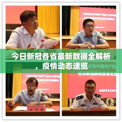 今日新冠各省最新数据全解析，疫情动态速览